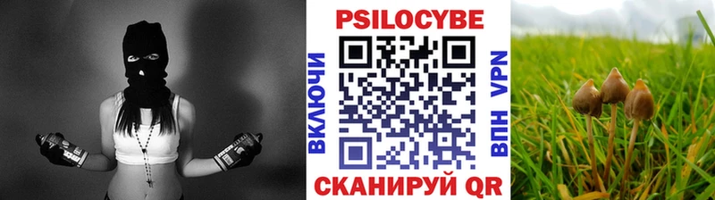Псилоцибиновые грибы мицелий Разумное